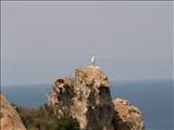 Sithonia_funny_roads (6)
